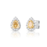 Pear Shape Halo Diamond Earrings - Malka